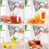 Aluminum Alloy Manual Juice Squeezer for Fresh Fruit Juice